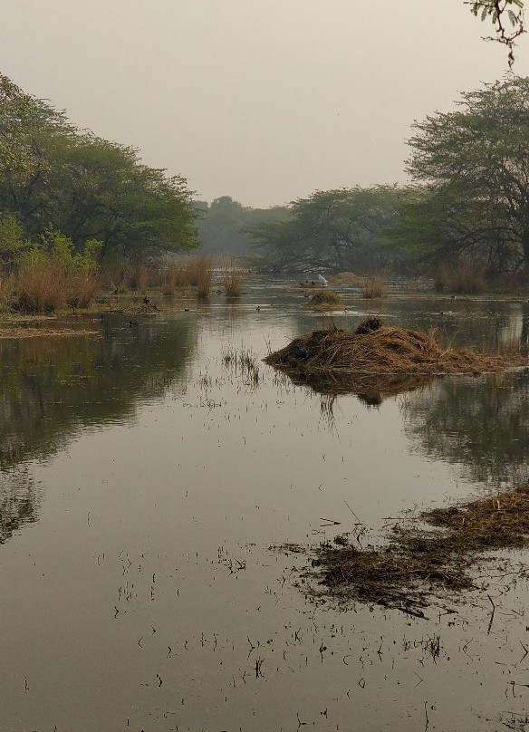 Sultanpur National Park景点图片