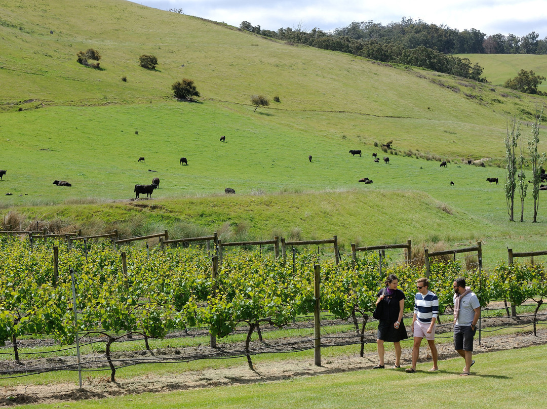 Terroir Wine Tours Tasmania景点图片
