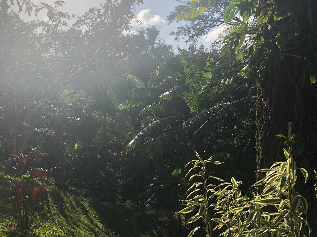 Villa Sarahlouna主图