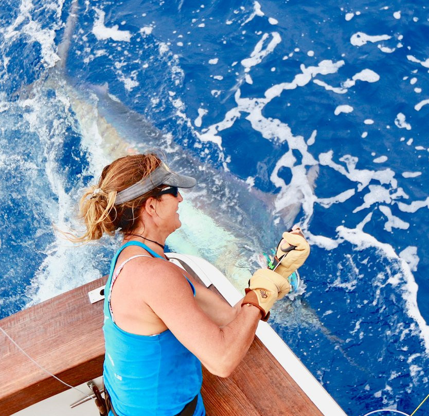 Hotshot Charters-Runaway Bay必去景点