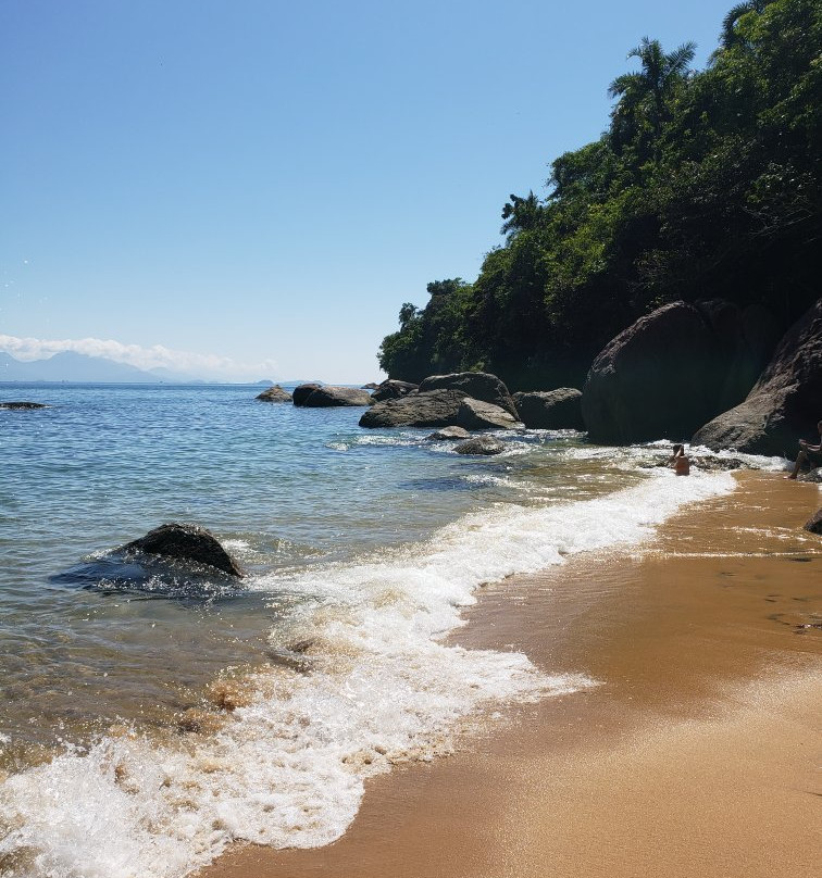 Praia do Cedro景点图片