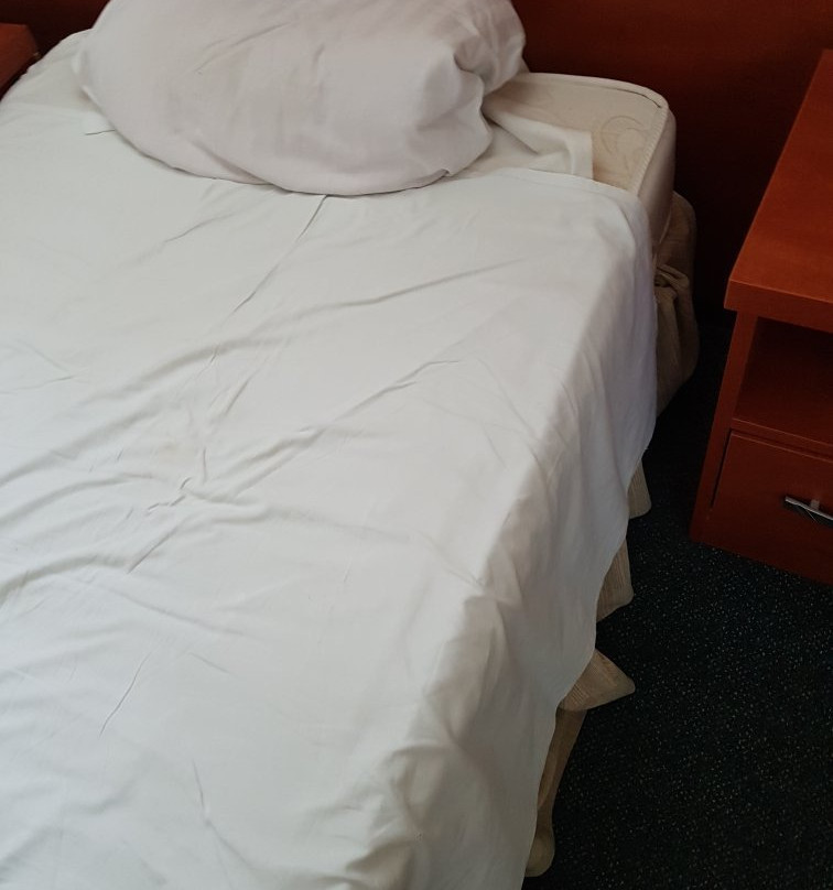 Restauracia Hotel Amber主图