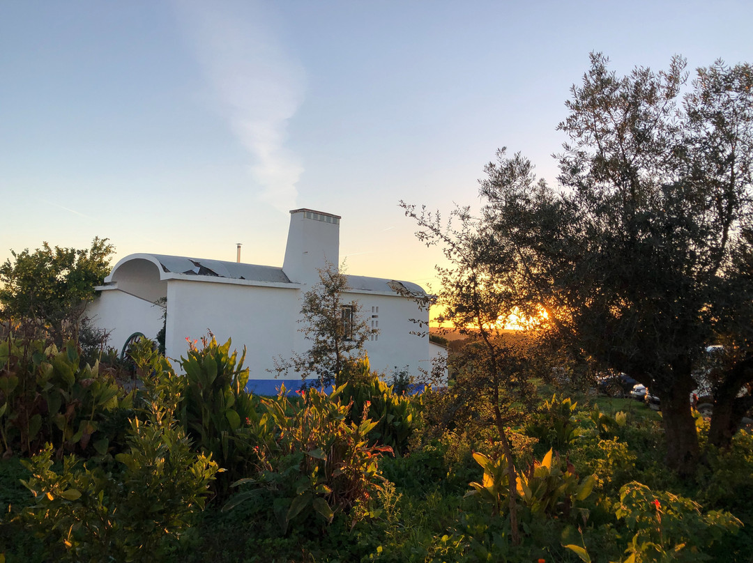 Herdade do Freixo do Meio-Montemor-o-Novo必去景点