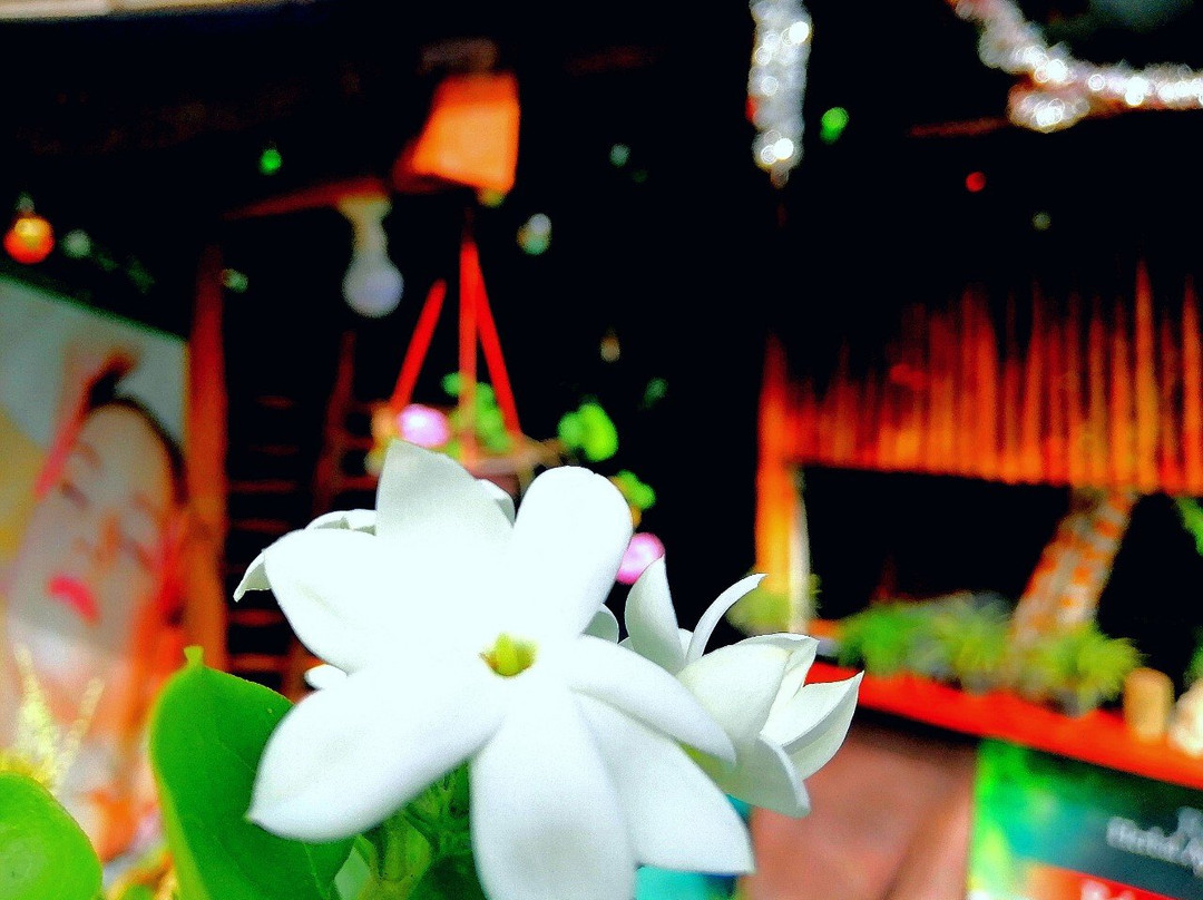 Rawan Herbal Ayurweda Spa-埃勒必去景点