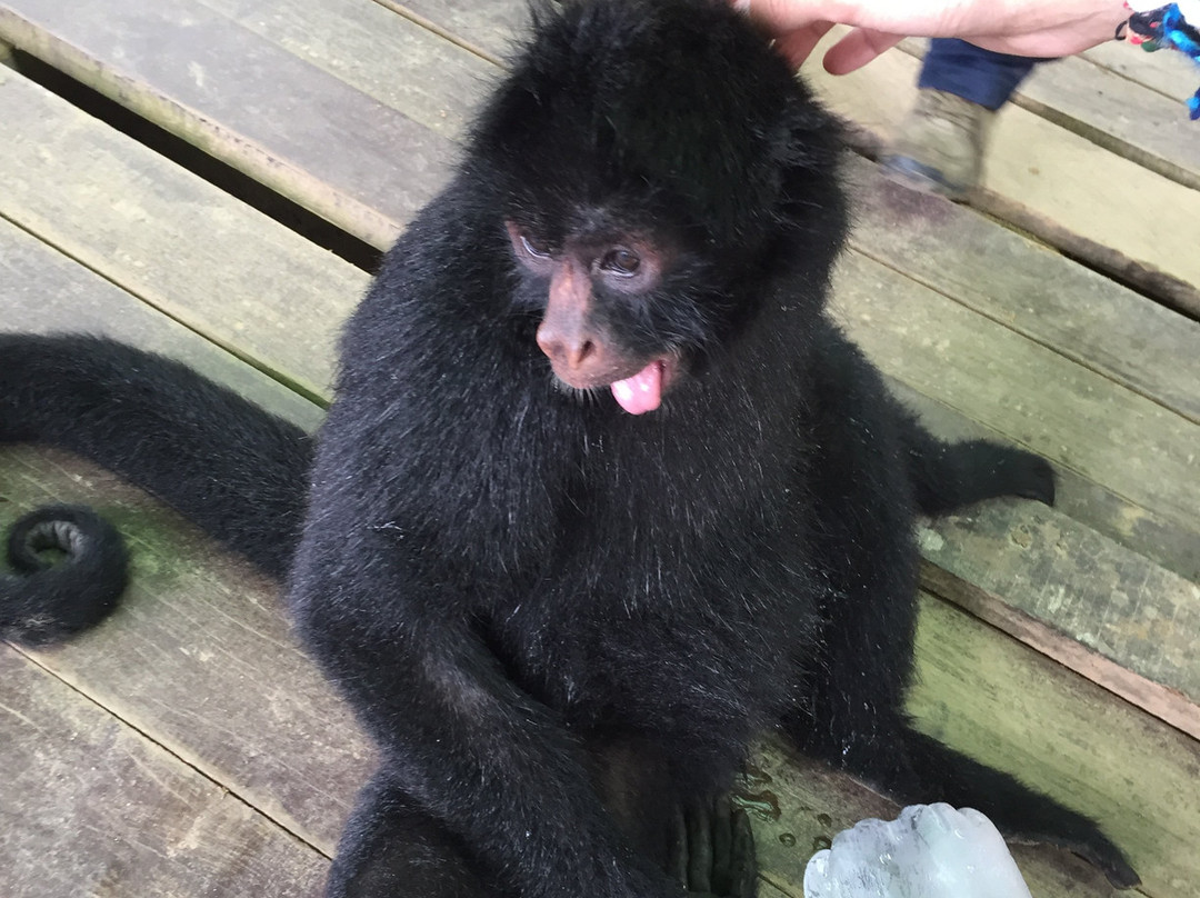 Parque Machia-Villa Tunari必去景点