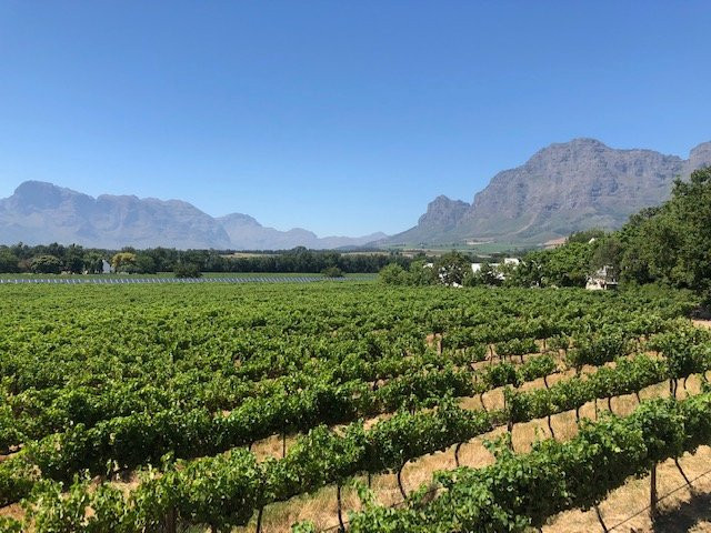 韦乐德恩鲁斯特艾斯塔特酒店主图