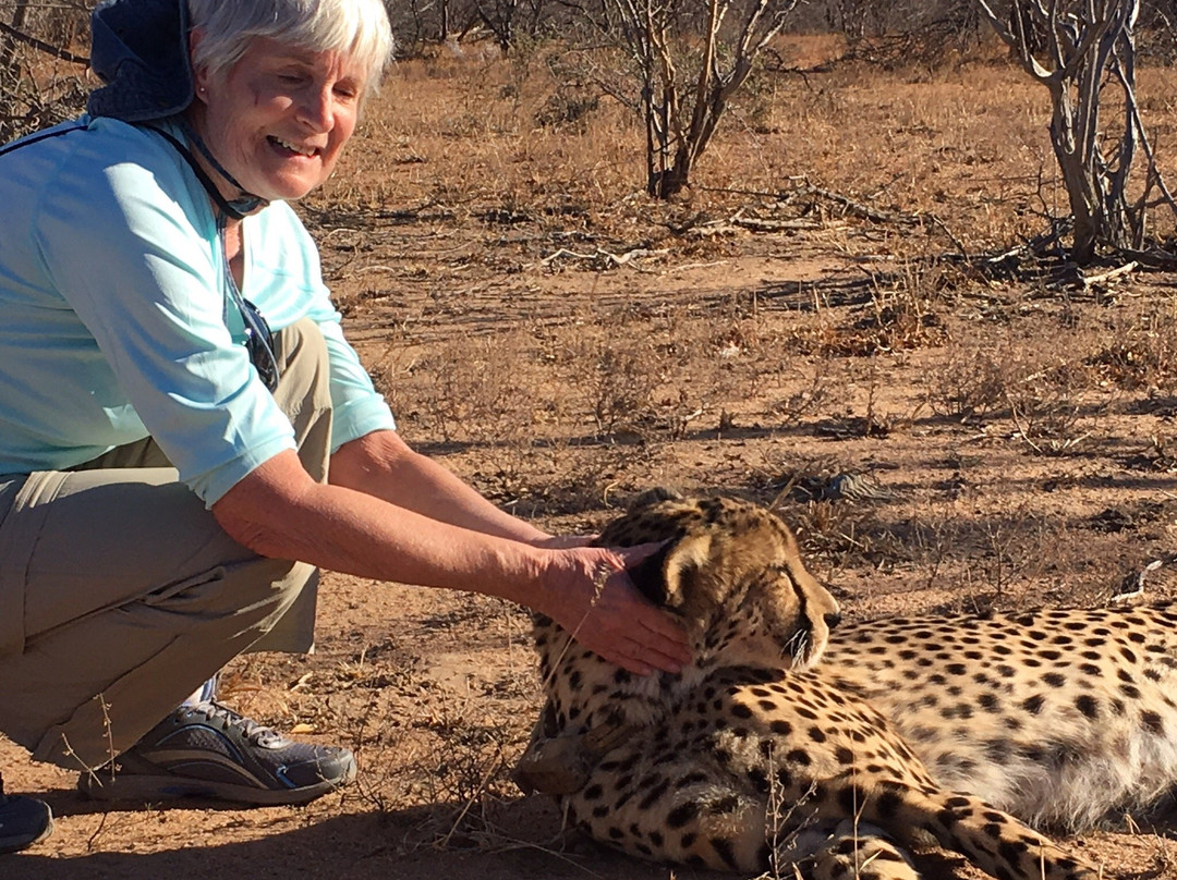 Panorama Pedals-参宁必去景点