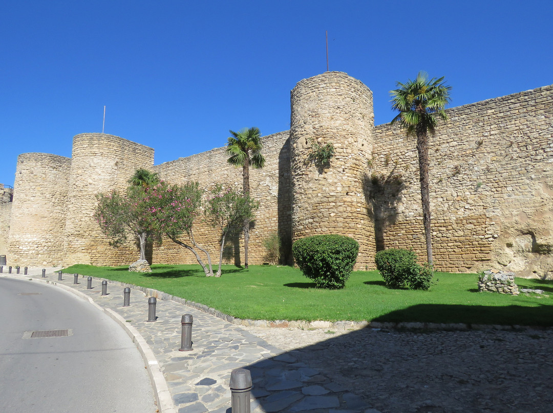 Puerta de Almocabar景点图片