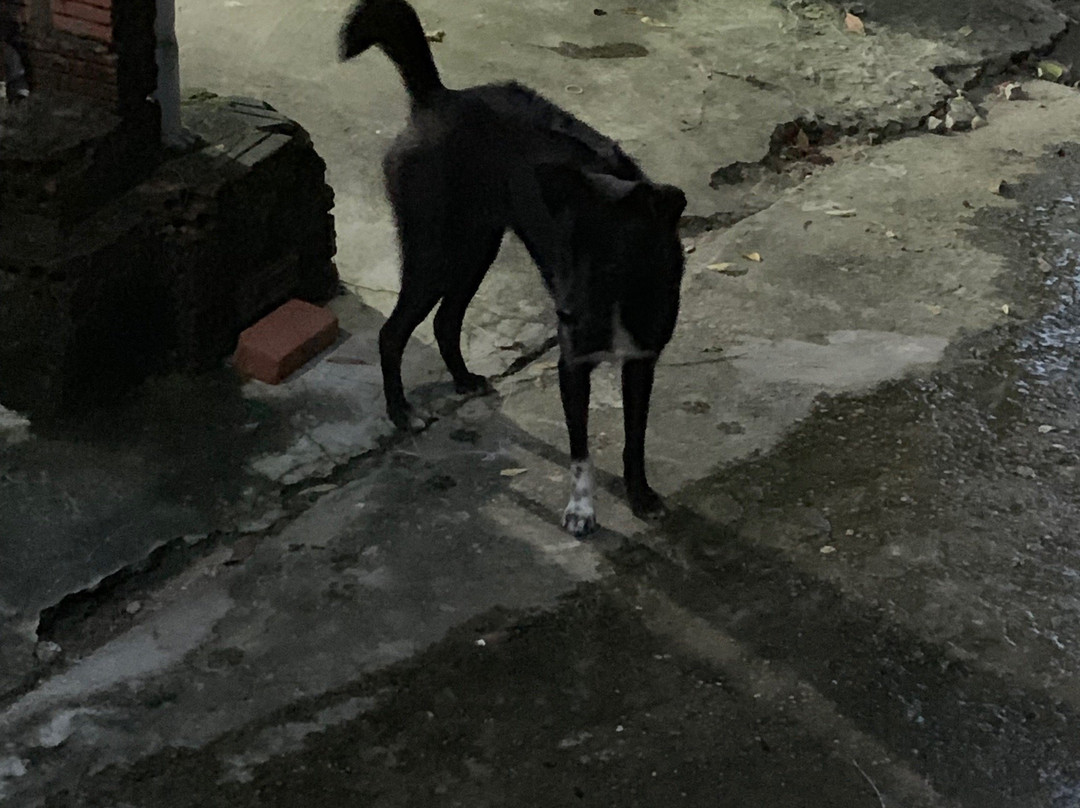 Vina Beach Villas主图