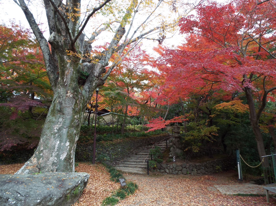 Matsunaga Memorial景点图片