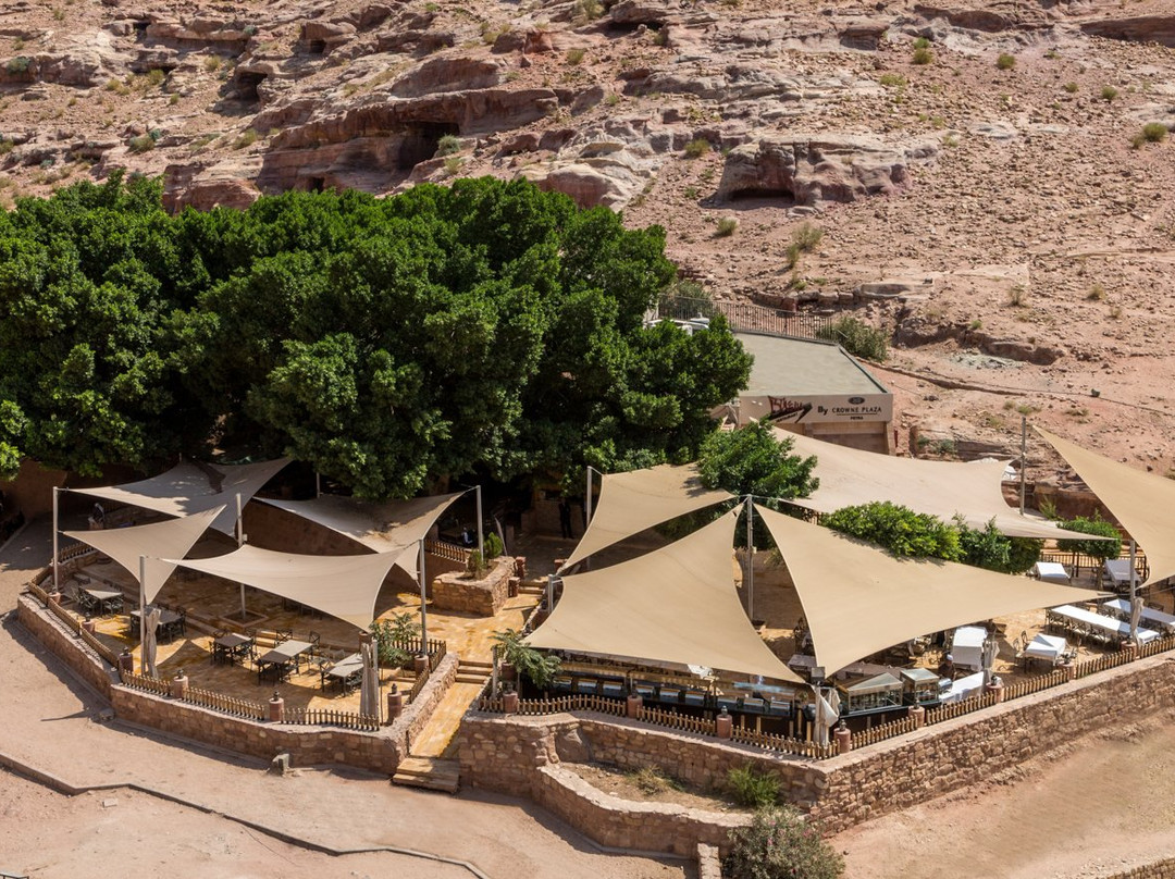 Ein Yahav餐馆和美食-The Basin Restaurant