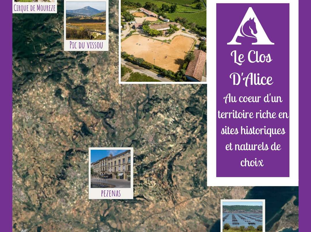 Le Clos d'Alice景点图片