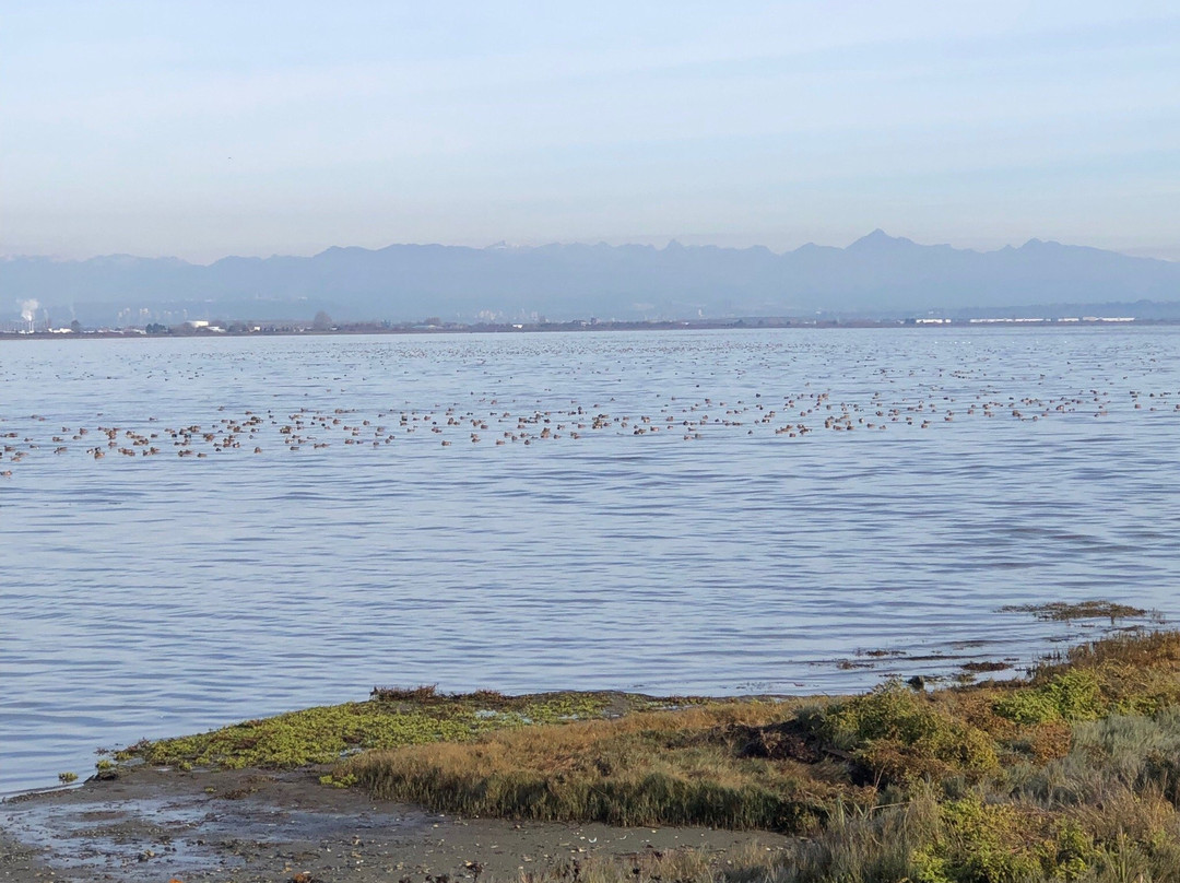 Boundary Bay Regional Park景点图片