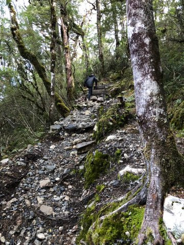 Bealey Valley Track景点图片