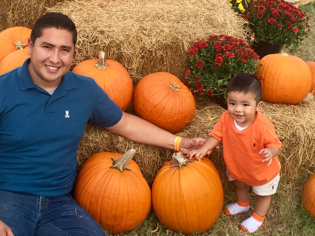 Barton Hill Farms-巴斯特罗普必去景点