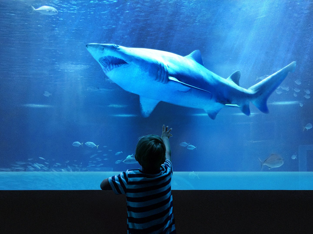 AquaRio-里约热内卢必去景点