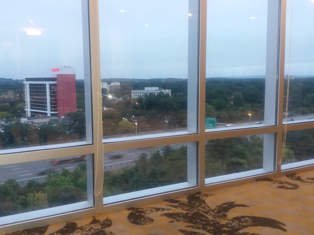 Crowne Plaza 萨德尔布鲁克 - 会议中心主图