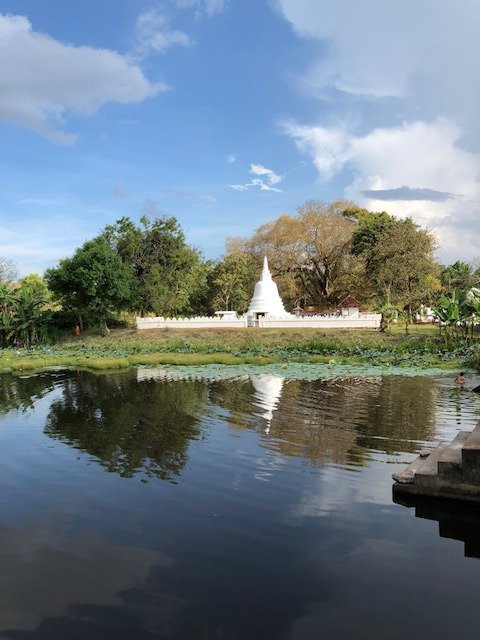Srilanka Leo Tours-波隆纳鲁瓦必去景点