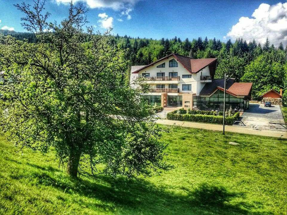 Pensiunea Davideea