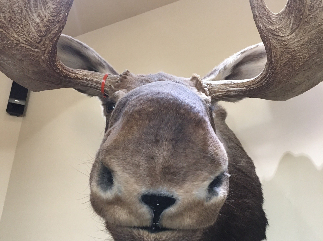 Broken Horn Brewing Company-McCall必去景点