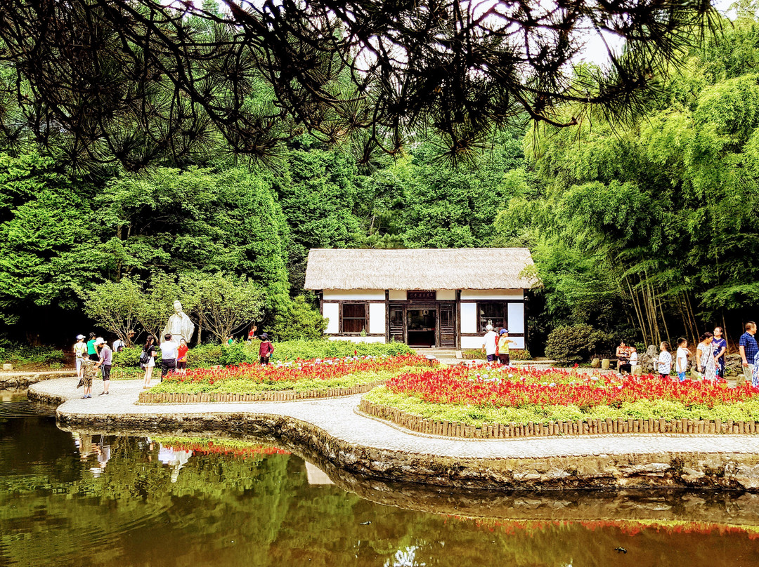九江花径公园景点图片