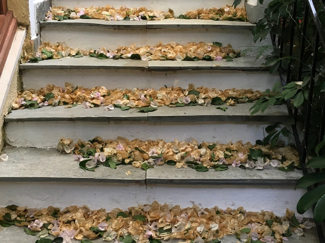 Thalassino Trifilli主图