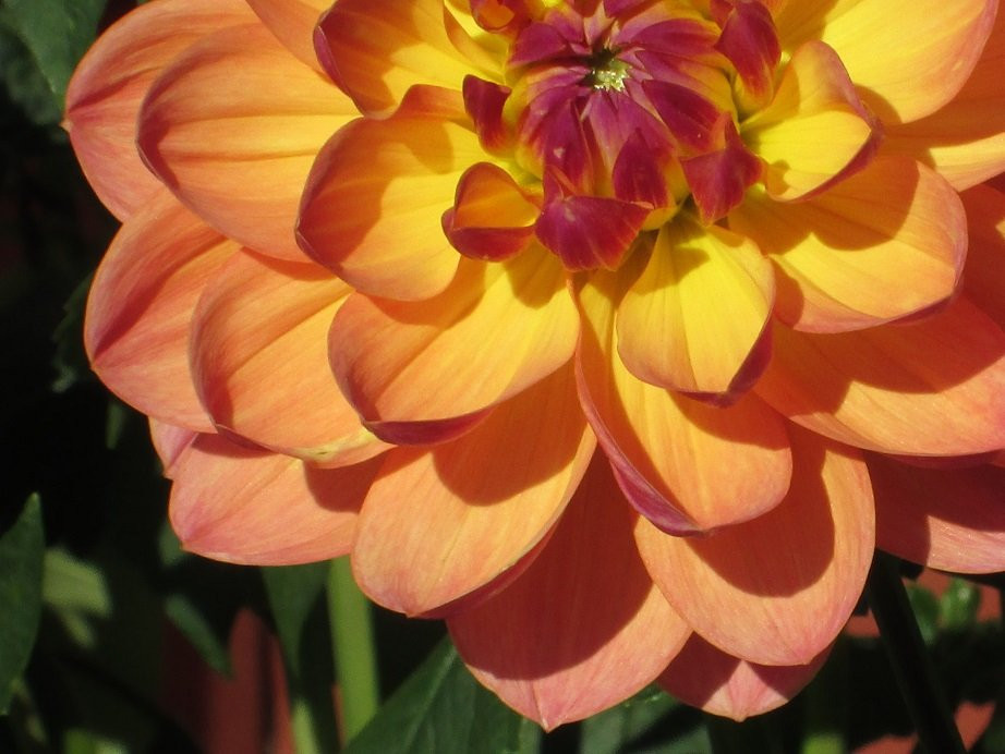 Ferncliff Gardens-米逊必去景点