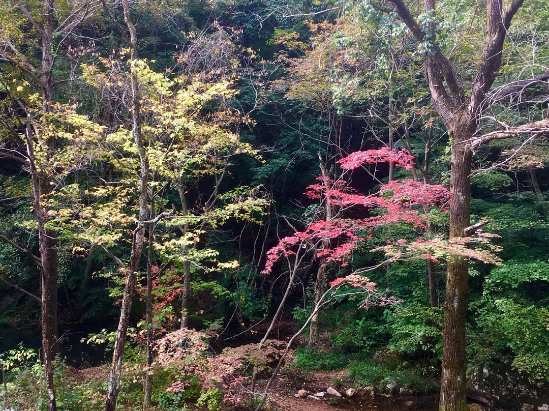 宽甸天桥沟-宽甸满族自治县必去景点