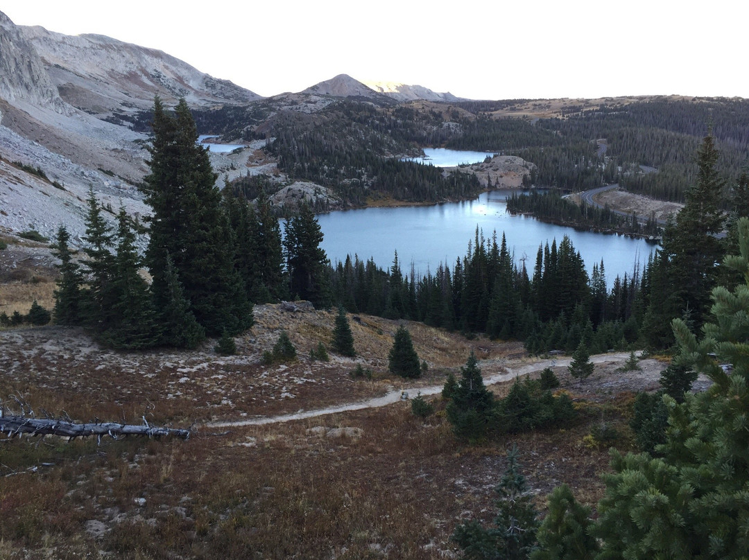 Medicine Bow National Forest景点图片