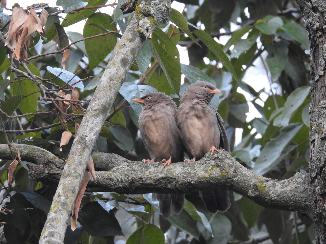 Renuka Wildlife Sanctuary景点图片