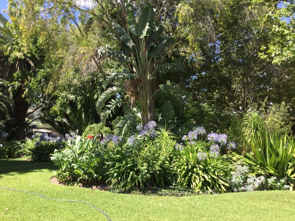 惠灵顿酒店住宿-Andreas Guest House