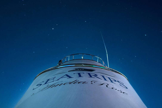 Sea Trips Reykjavík-雷克雅未克必去景点