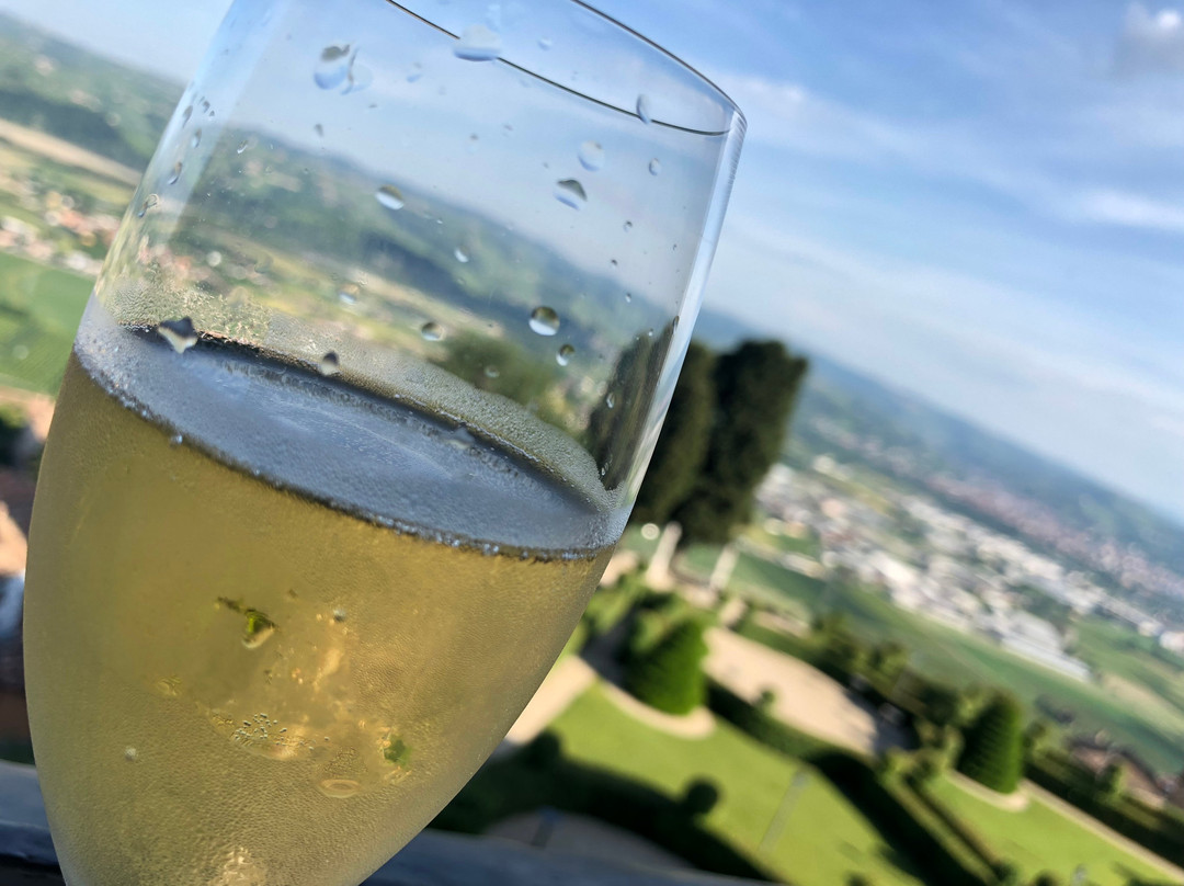 Castello Di Guarene主图