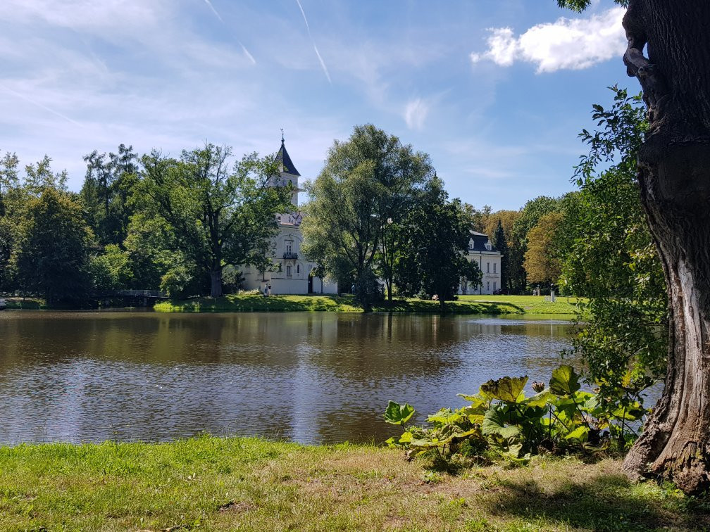 Palace in Radziejowice景点图片