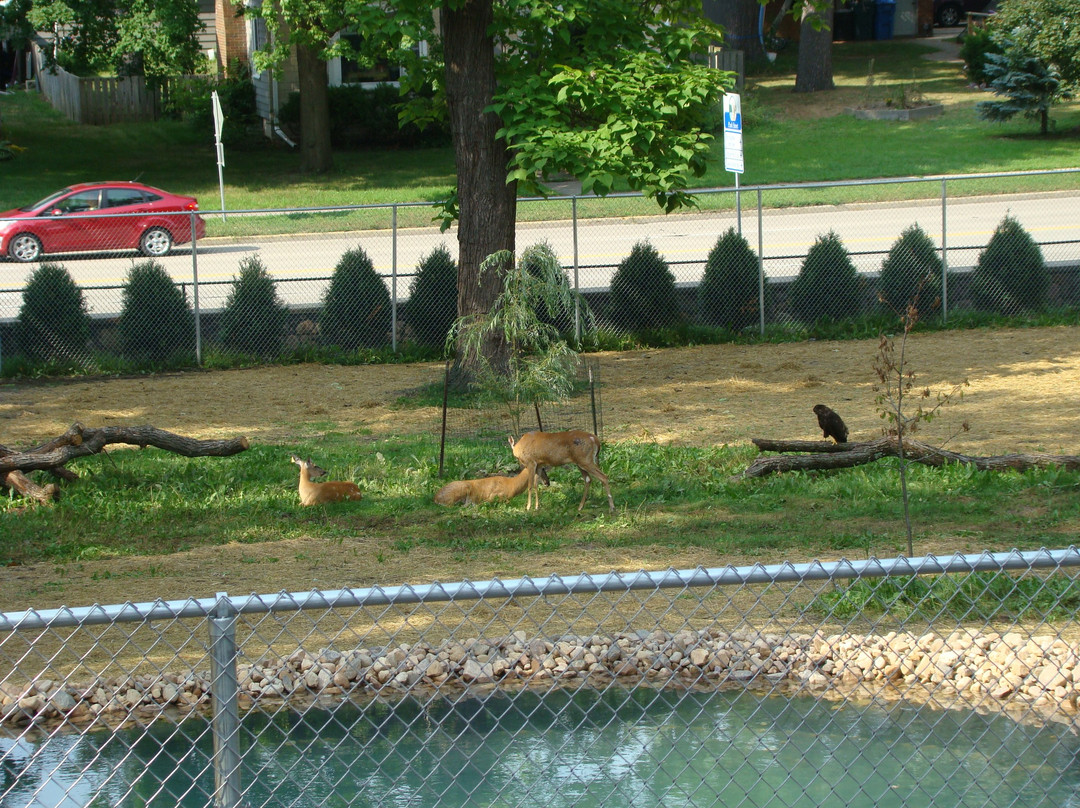 Ochsner Park Zoo景点图片