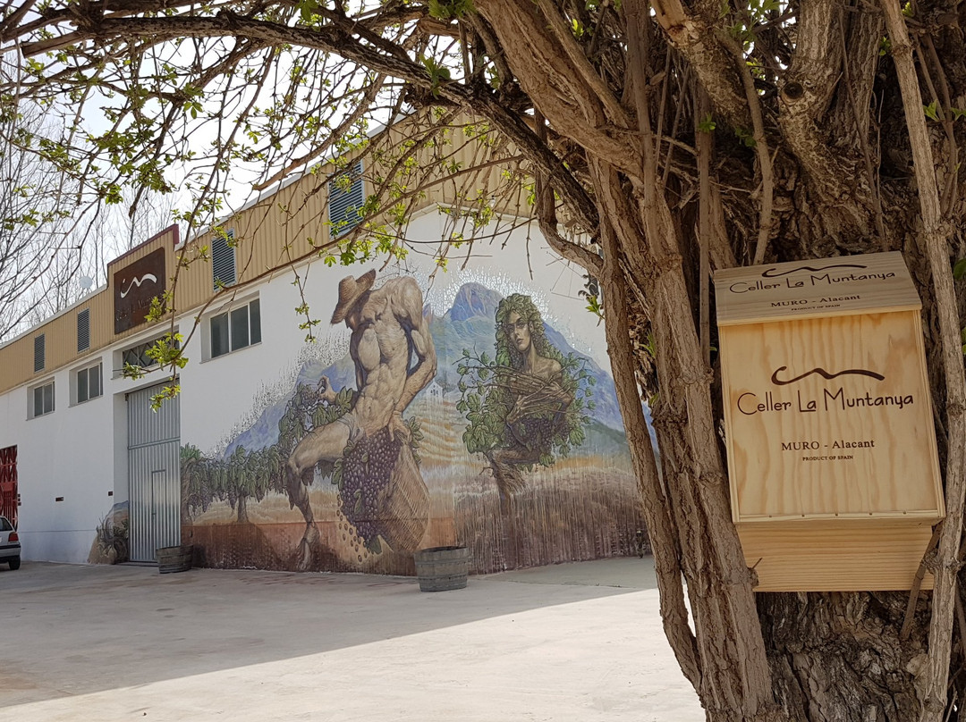 Ruta de Microvina del Celler la Muntanya景点图片