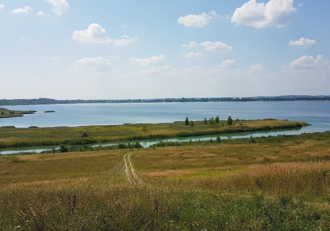 Jezioro Tarnobrzeskie景点图片