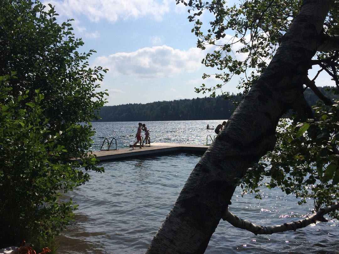 Riihiniemen Uimaranta-坦佩雷必去景点