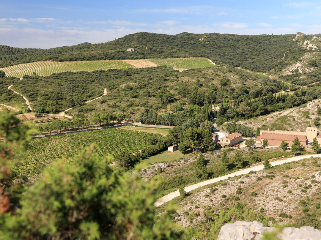 Domaine de La Vallongue景点图片