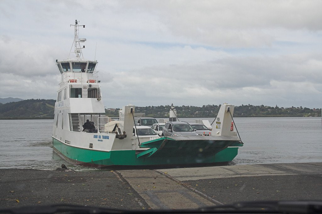 Hokianga Ferry景点图片