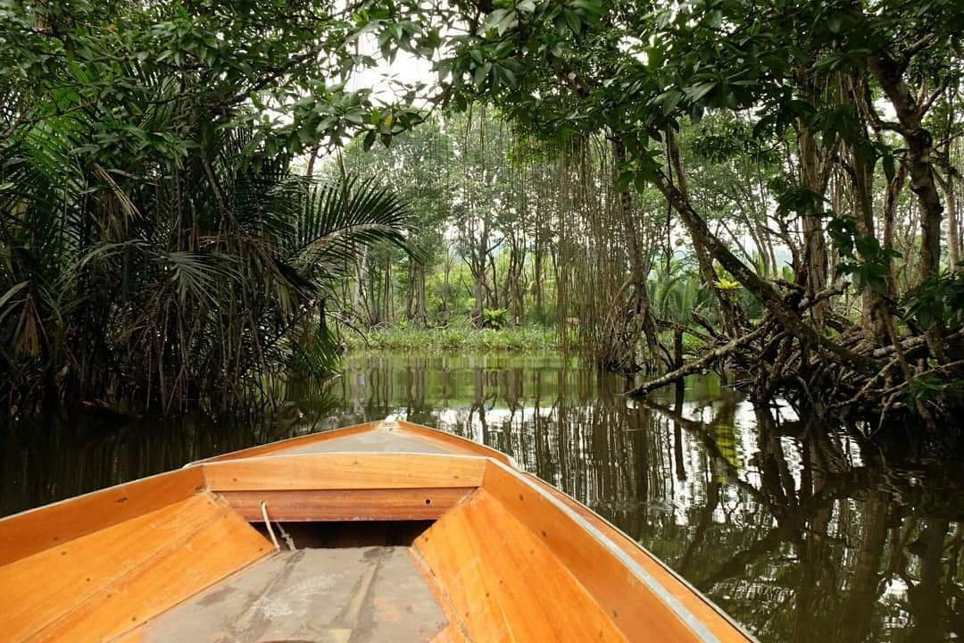 Pulau Selirong Forest Recreation Park景点图片