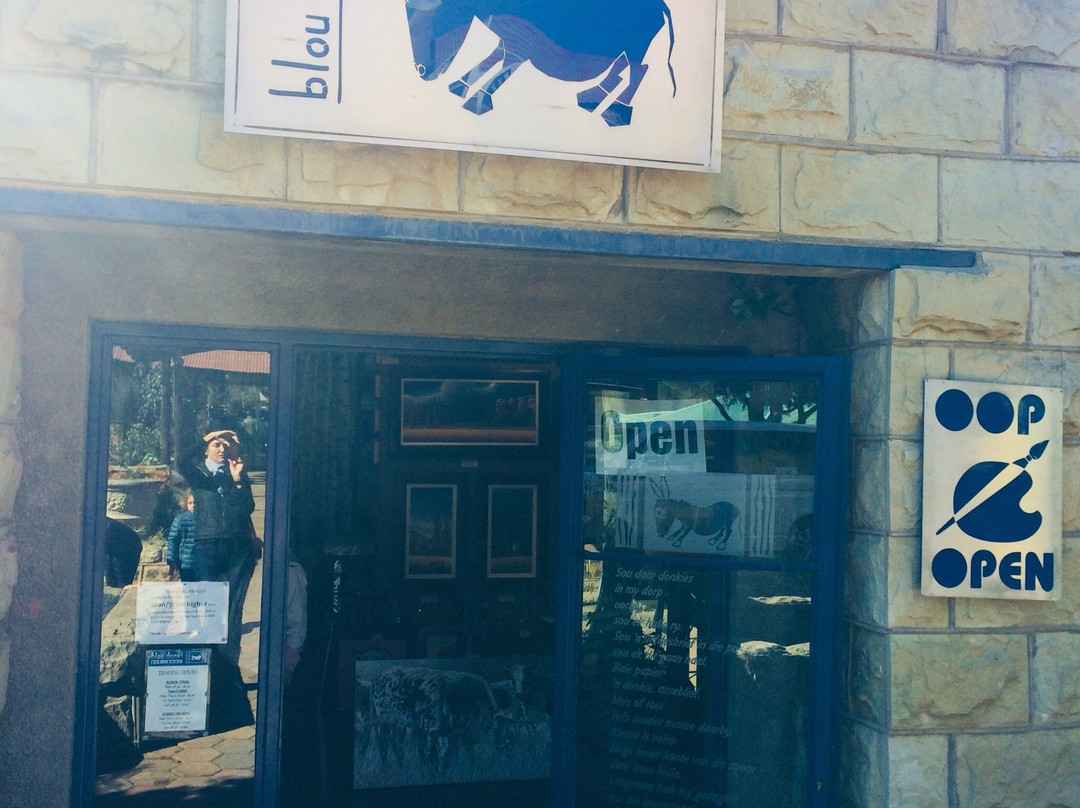 Blou Donki Art Gallery-克拉伦斯必去景点