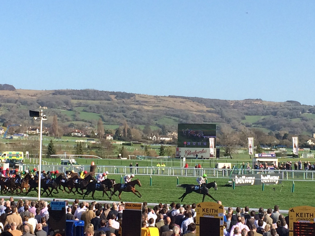 Cheltenham Racecourse-切尔滕纳姆必去景点
