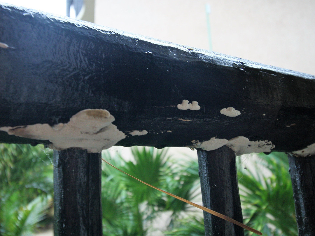 Catalonia Yucatan Beach主图