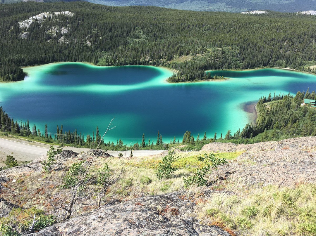 Emerald Lake Tours景点图片
