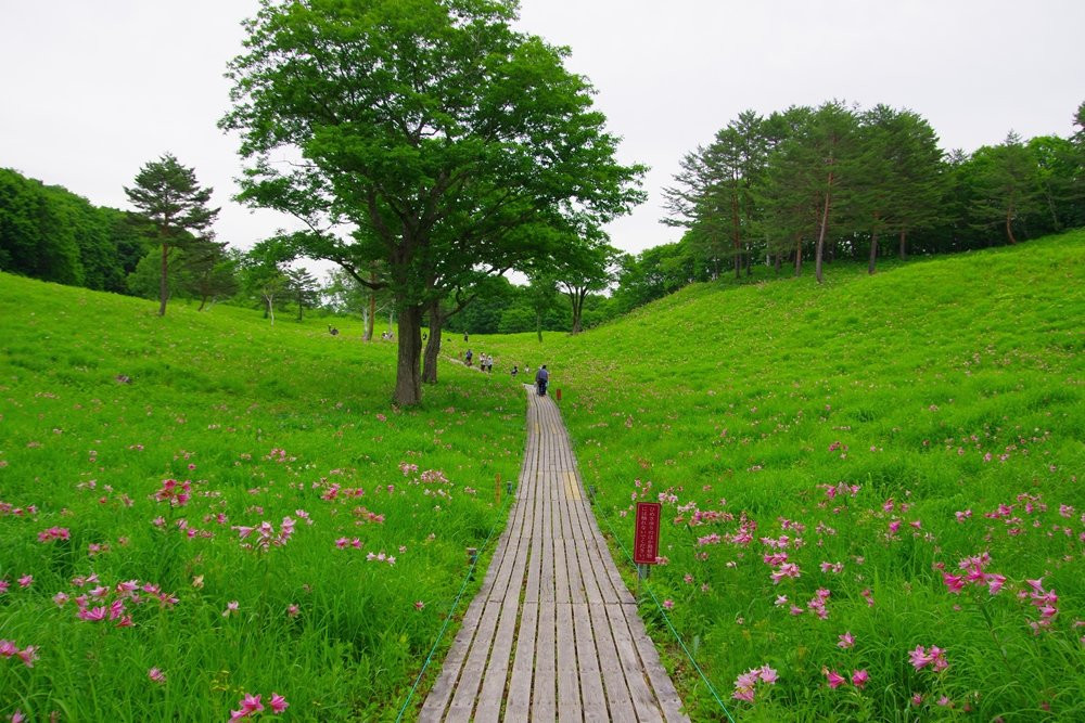 Takashimizu Shizen Koen-南会津町必去景点