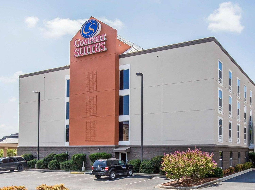 Comfort Suites Anderson-Clemson主图