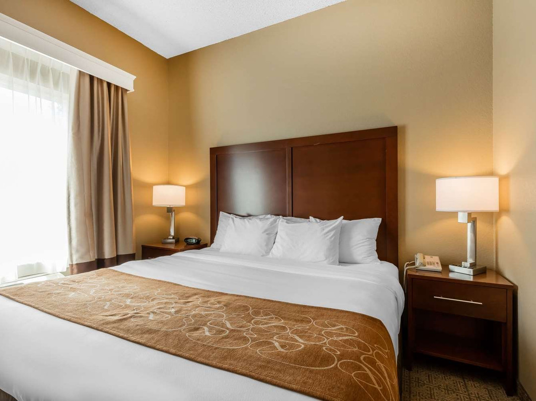 Comfort Suites Jonesboro University Area主图