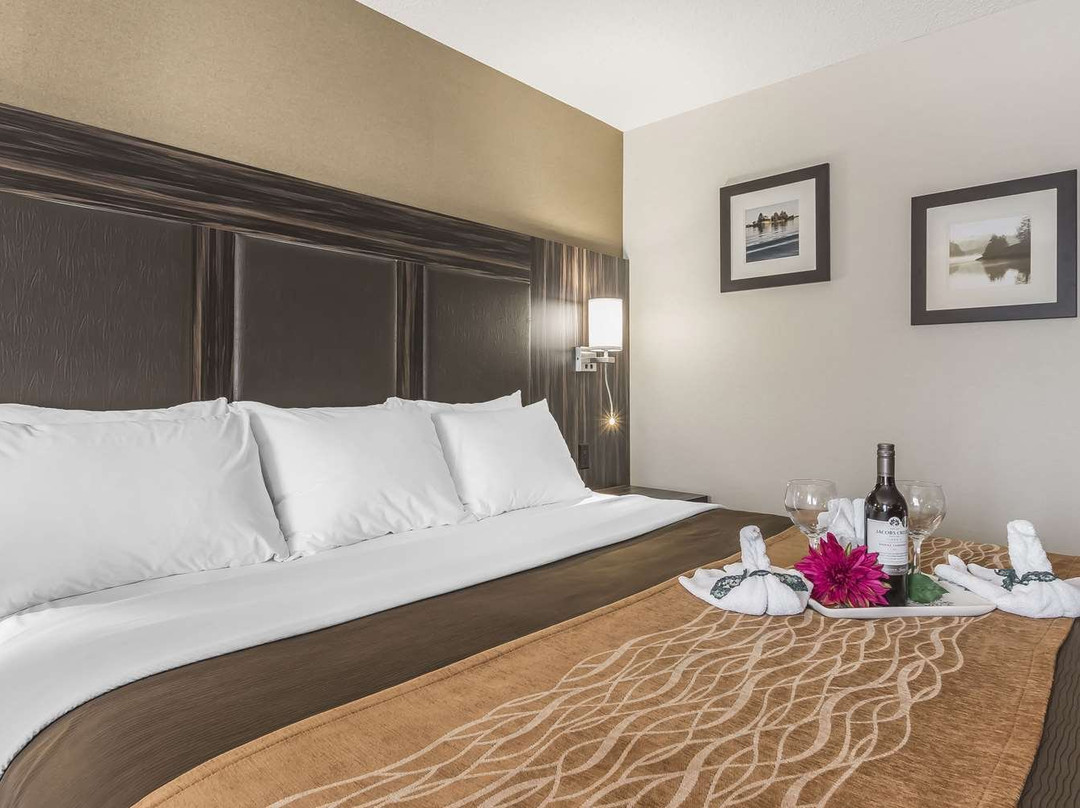 Comfort Inn Trenton Hotel主图