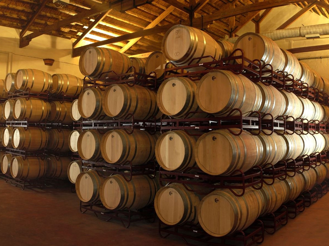 Cooperativa Vinicola La Vina-La Font de la Figuera必去景点